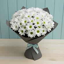 Букет цветов из:  Хризантемы в Песь