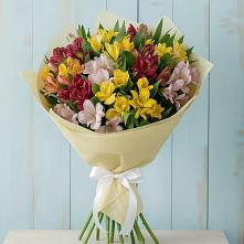 Букет цветов из:  Альстромерии в Песь