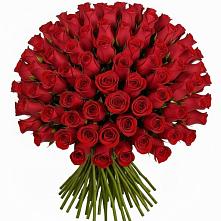 Букет Красные розы Чери Лав #REPLACE_PRED# Песь
